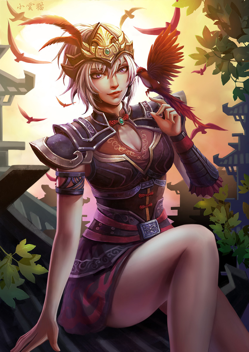 lu lingqi (shin sangoku musou) drawn by xiao_yun_mao