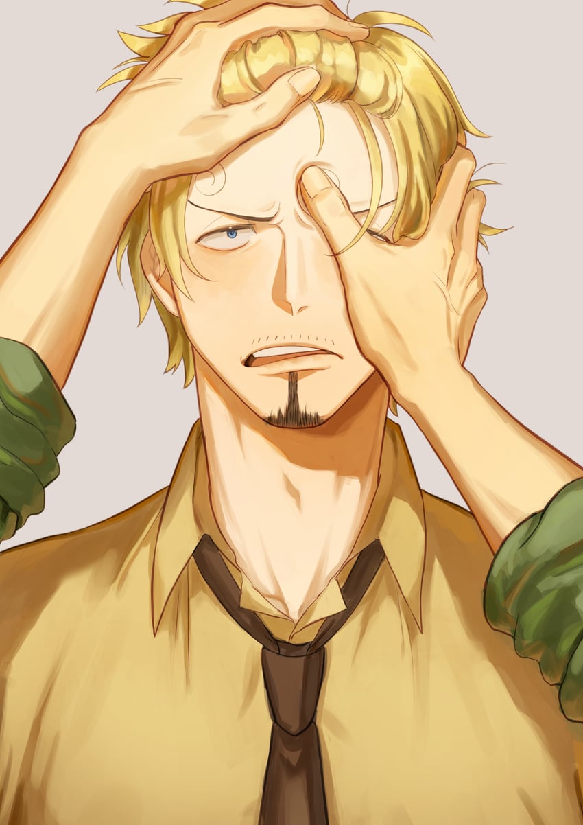 roronoa zoro and sanji (one piece) drawn by poipoisky72