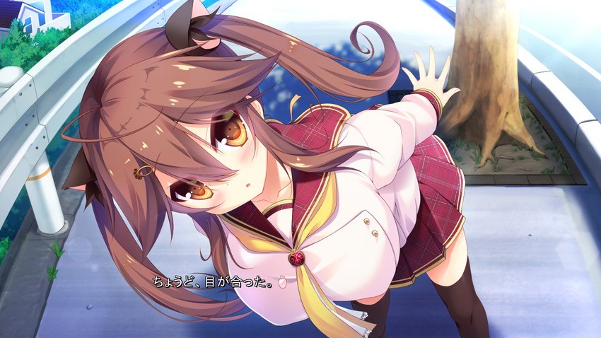 yataka chiho (watashi ga suki nara "suki" tte itte!) drawn by syroh