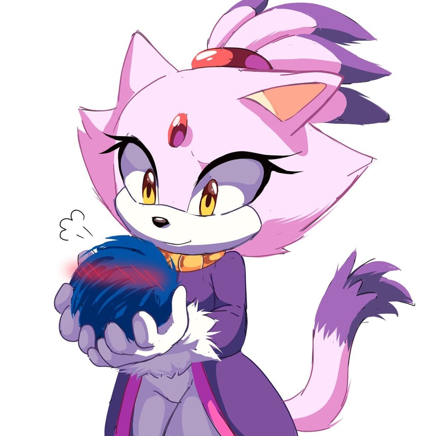 sonic the hedgehog and blaze the cat (sonic) drawn by mikune19