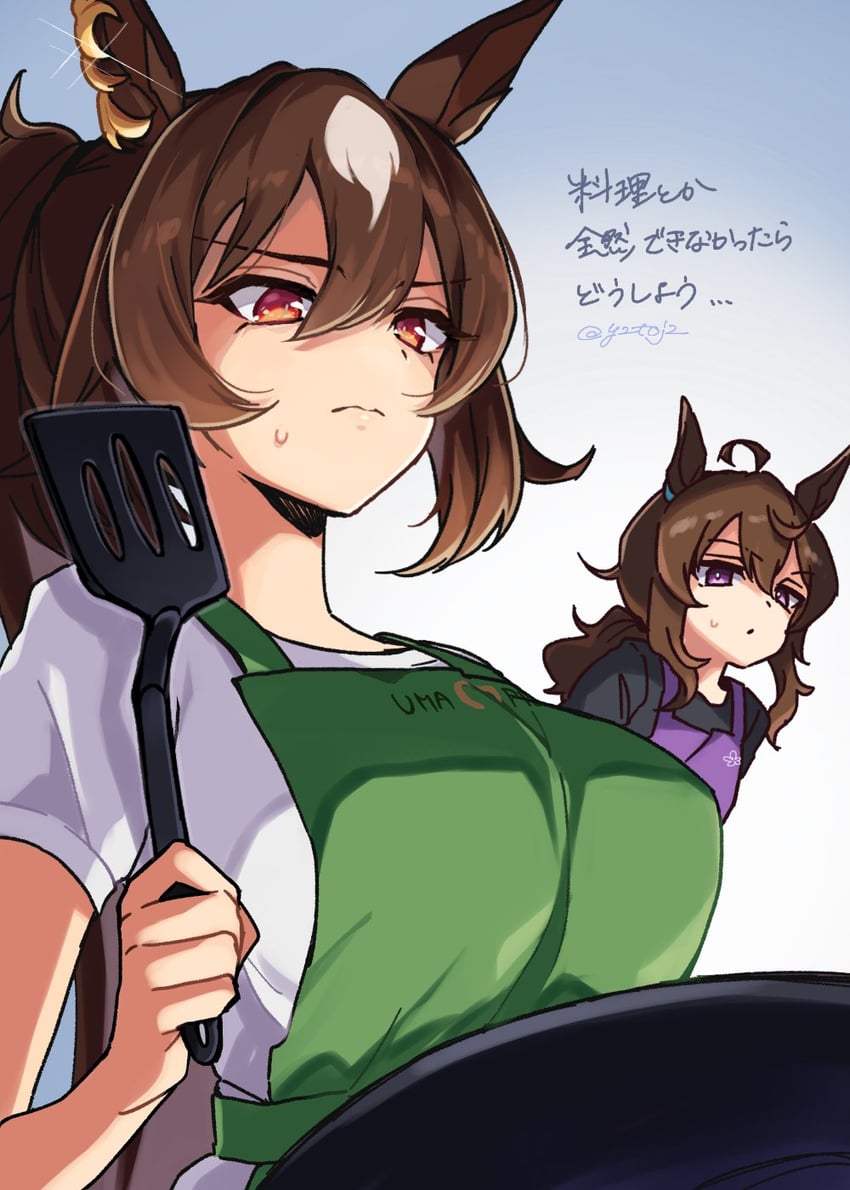 sirius symboli and nakayama festa (umamusume) drawn by toji_(y2toj2)
