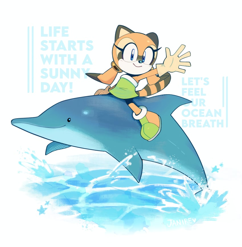 marine the raccoon (sonic and 1 more) drawn by janire_pat01