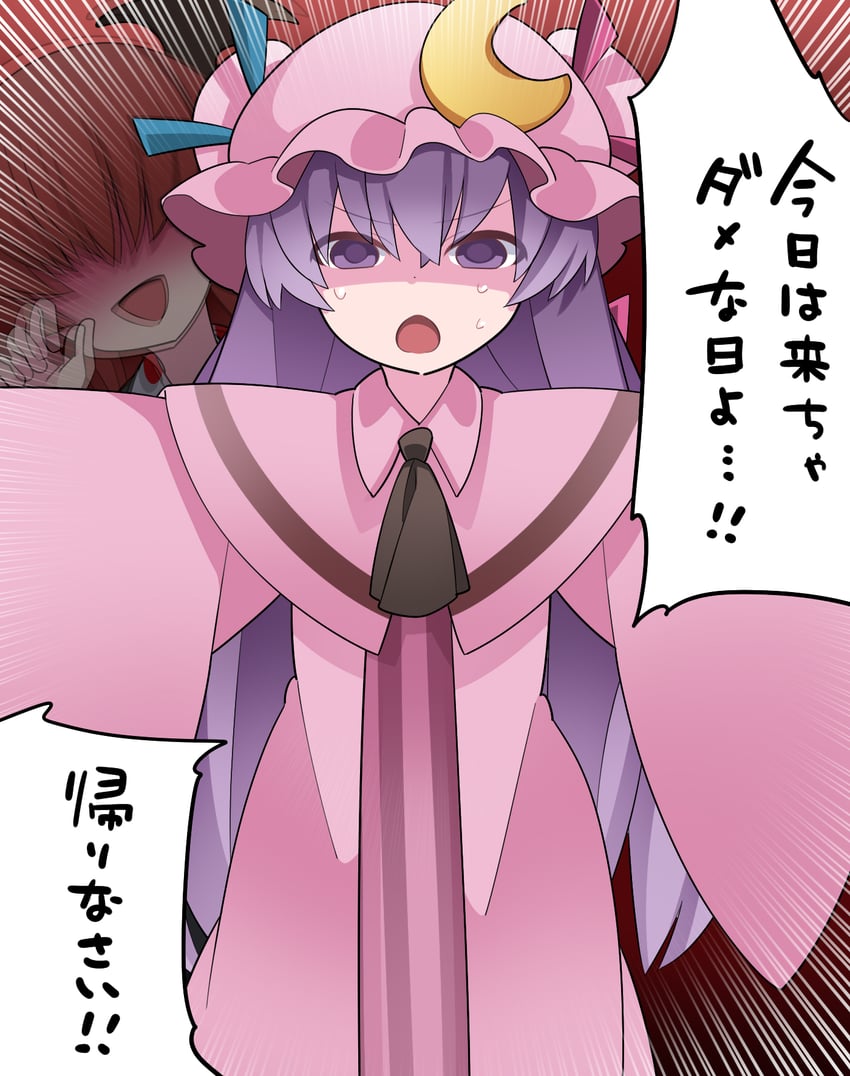 patchouli knowledge and koakuma (touhou) drawn by hammer_(sunset_beach)