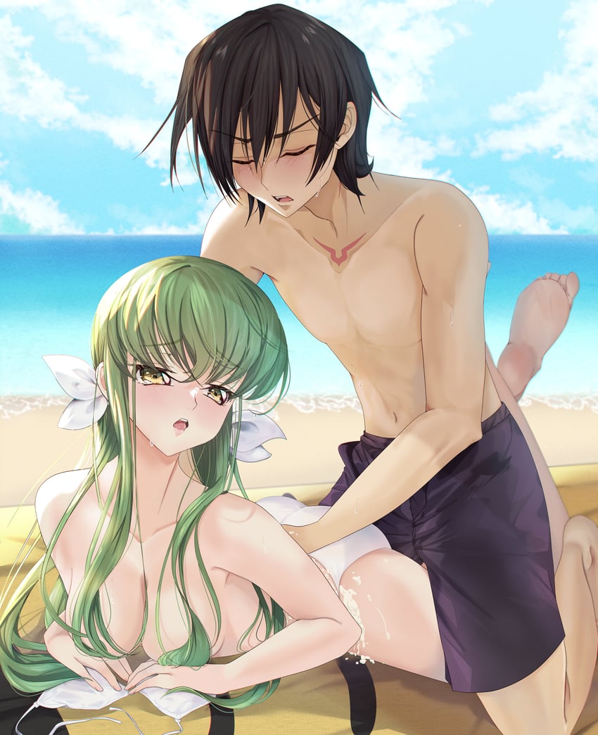 c.c. and lelouch vi britannia (code geass) drawn by budgiepon