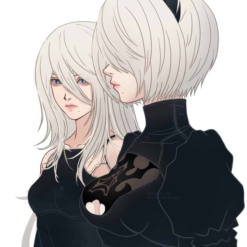 2b and a2 (nier and 1 more) drawn by mitsuki_nite