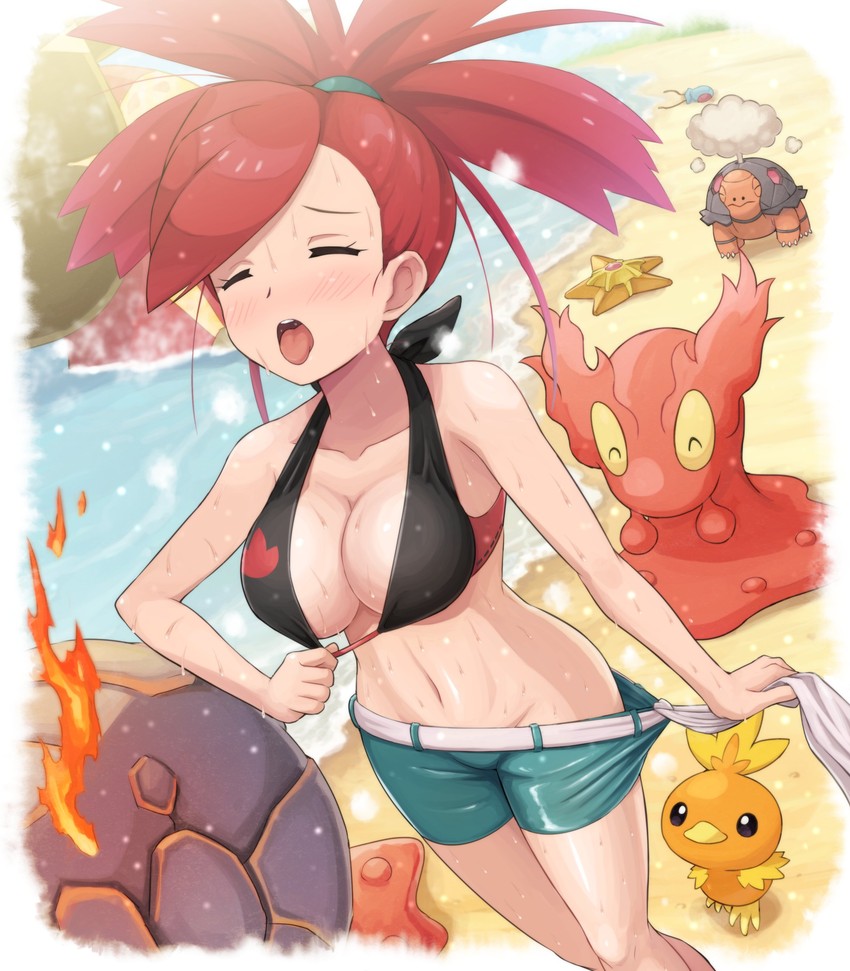 torchic, flannery, staryu, groudon, torkoal, and 4 more (pokemon and 1 more) drawn by pokemoa