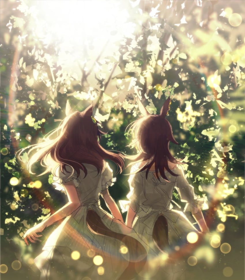 symboli rudolf and sirius symboli (umamusume) drawn by didi_(whaqlrpwjd)