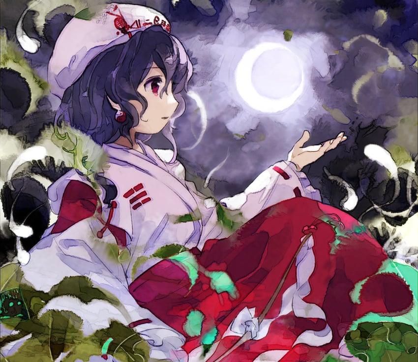 moonlight's anti-soul (touhou and 1 more) drawn by kaigen_1025