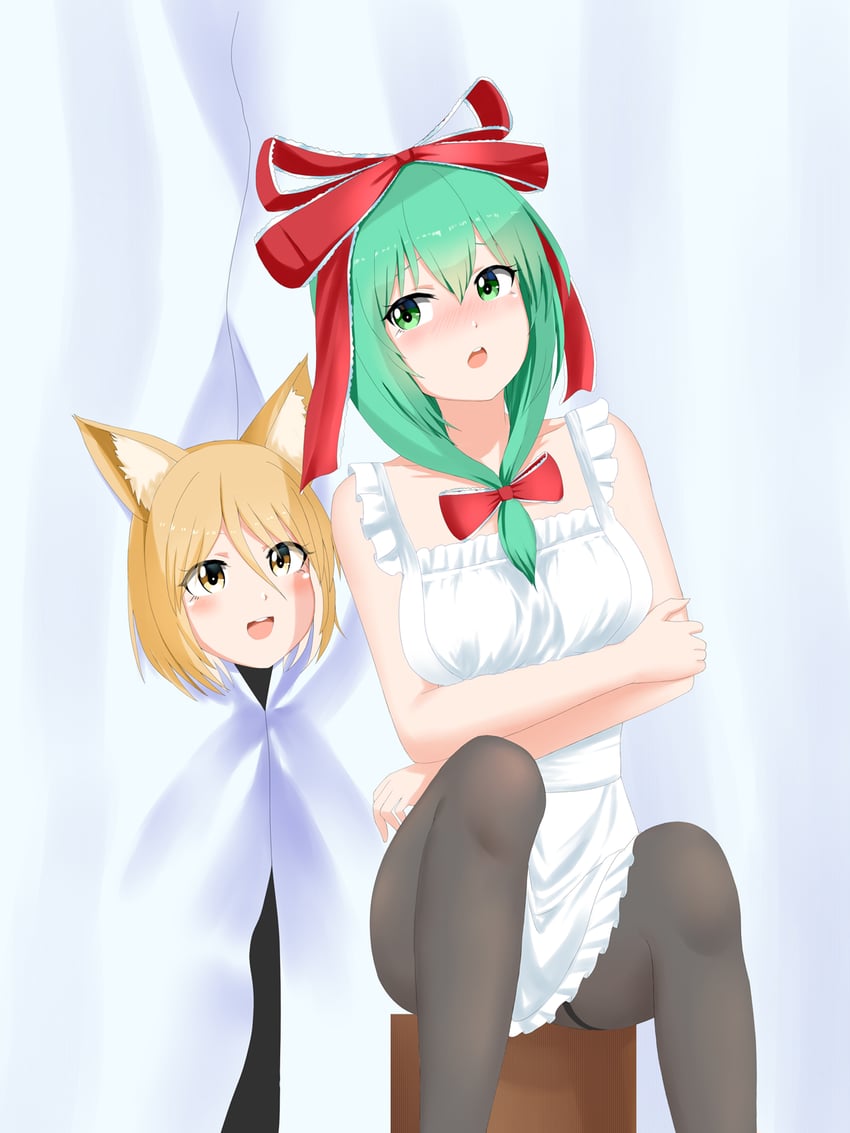 kagiyama hina and kudamaki tsukasa (touhou) drawn by doge_(jkdoge)
