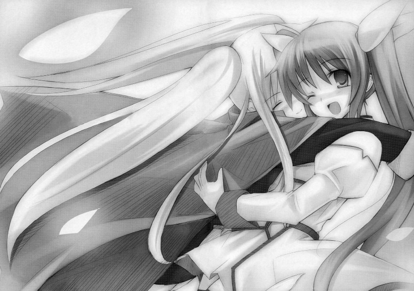 fate testarossa and takamachi nanoha (lyrical nanoha and 1 more)