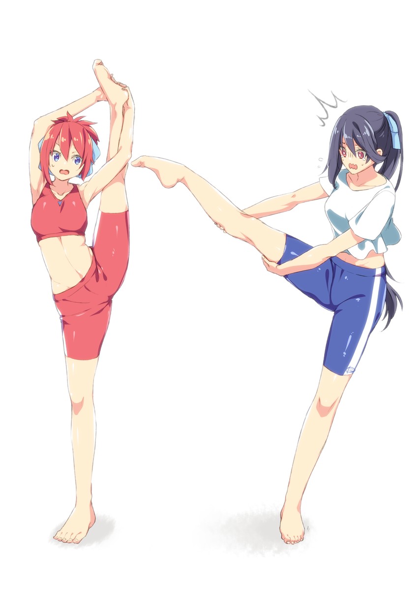 washinomiya koori and yasaka hitsugi (phantasy star and 1 more) drawn by nyanmaru_(ememing)