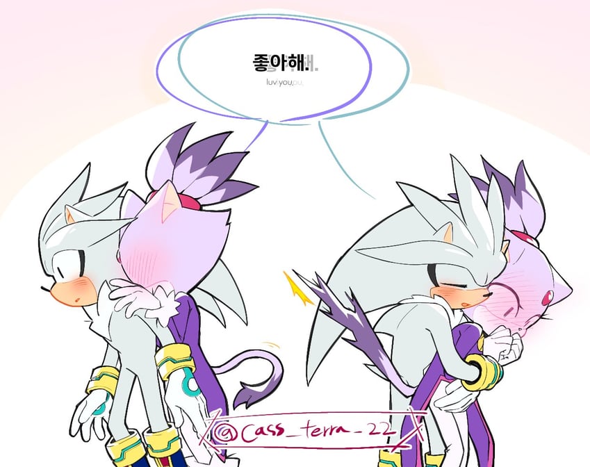 blaze the cat and silver the hedgehog (sonic) drawn by cass_terra_22