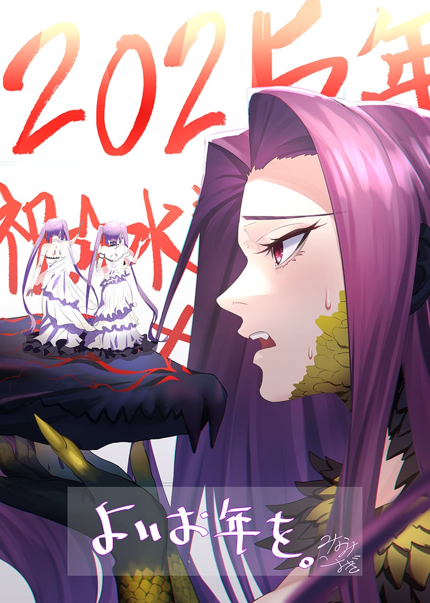 medusa, euryale, stheno, gorgon, and asakawa yuu (fate and 1 more) drawn by minami_koyogi