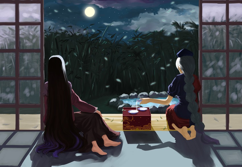 houraisan kaguya and yagokoro eirin (touhou) drawn by orangec