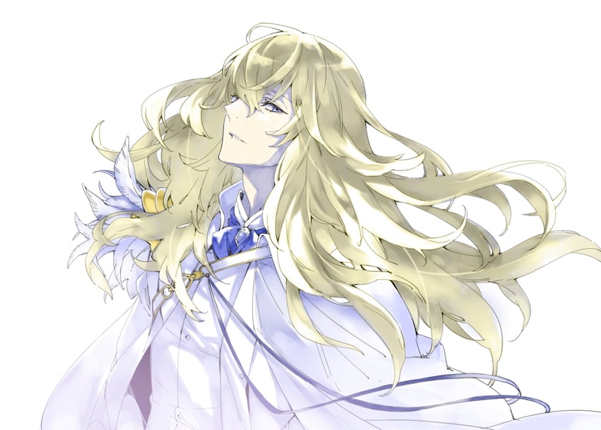 kirschtaria wodime (fate and 1 more) drawn by kotobuki_toro