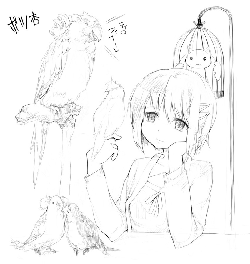 akemi homura, kaname madoka, miki sayaka, sakura kyoko, tomoe mami, and 1 more (mahou shoujo madoka magica) drawn by abubu