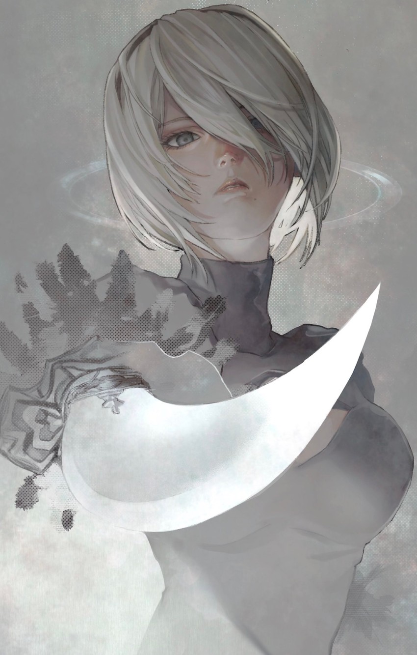 2b (nier and 1 more) drawn by gauss_<bokashi