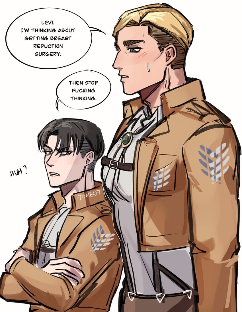 levi and erwin smith (shingeki no kyojin) drawn by zombu7