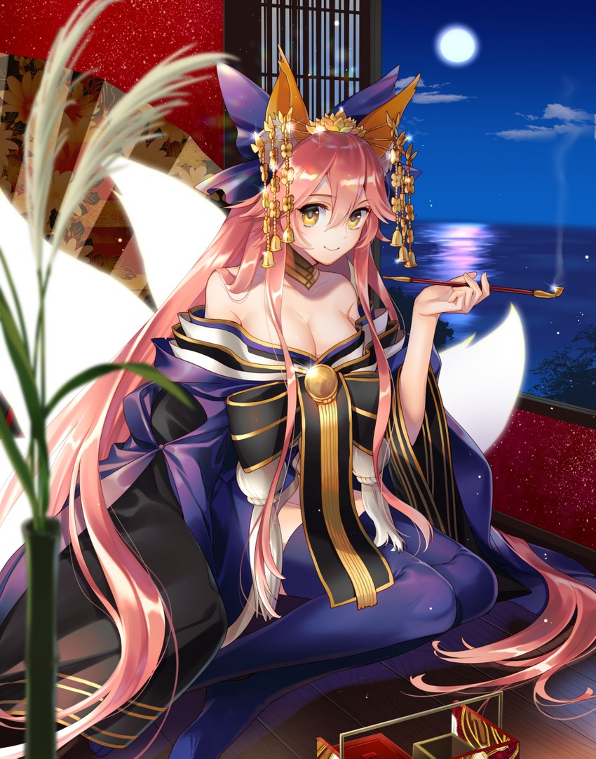 tamamo and tamamo no mae (fate and 1 more) drawn by noes