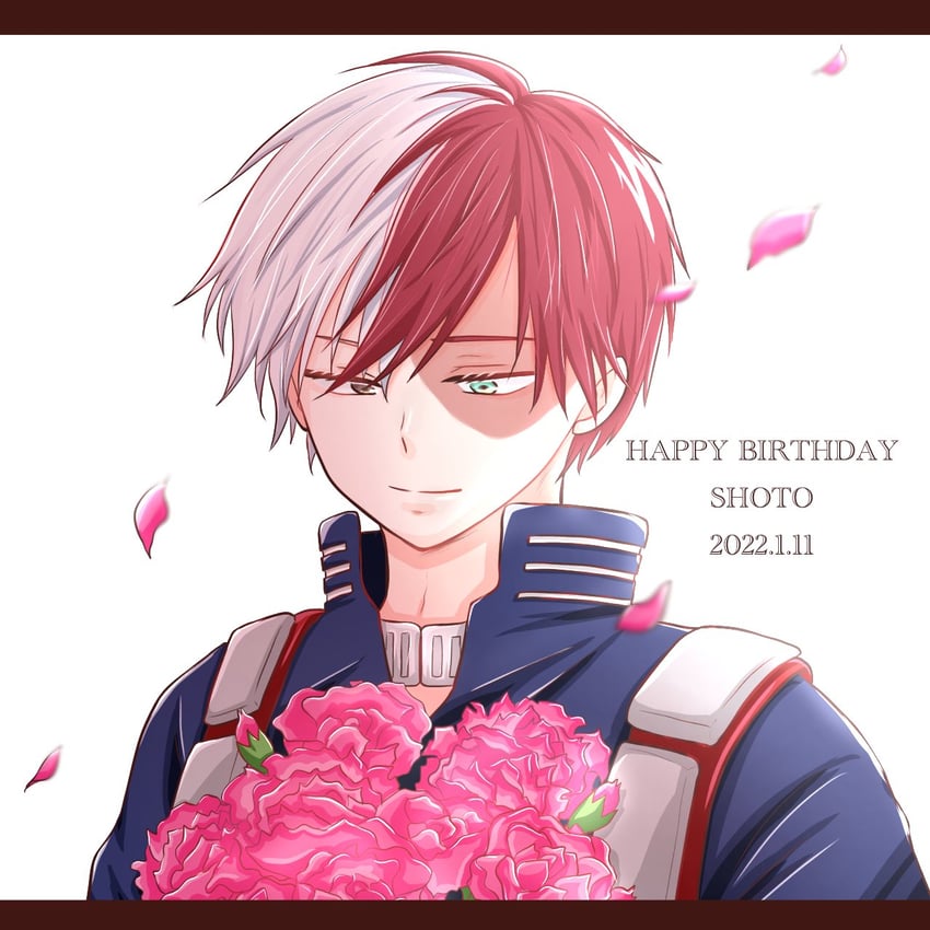 todoroki shoto (boku no hero academia) drawn by rgsmjwmhphq1mkn