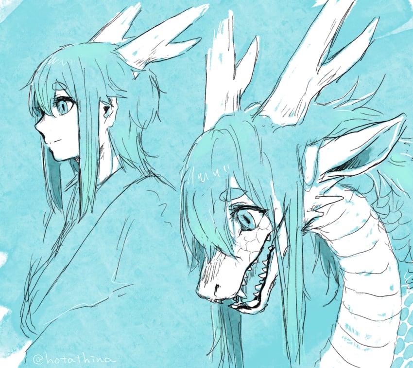 touyouryuu-san (original) drawn by hotathino