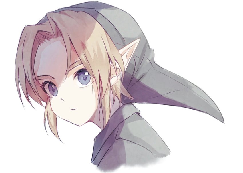link (the legend of zelda and 1 more) drawn by tete_tuyuten
