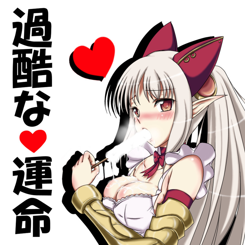 aldra and summoner aldra (queen's blade and 1 more) drawn by df