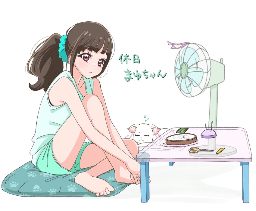 nekoyashiki yuki and nekoyashiki mayu (precure and 1 more) drawn by akizora_(aki_precure)