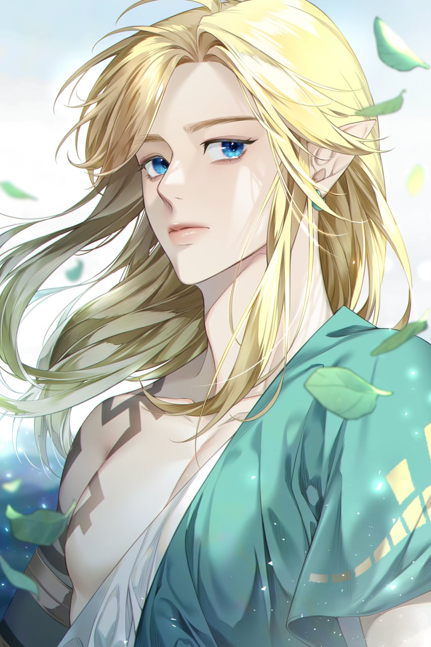 link (the legend of zelda and 1 more) drawn by nolang