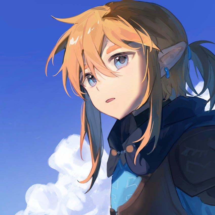 link (the legend of zelda and 1 more) drawn by yumiyumo3o