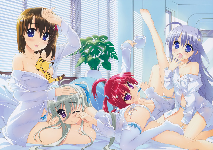 yagami hayate, reinforce zwei, einhard stratos, asteion, and agito (lyrical nanoha and 1 more) drawn by fujima_takuya