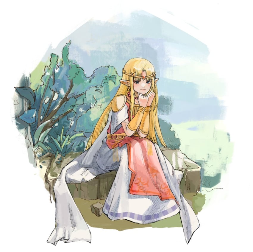 princess zelda (the legend of zelda and 1 more) drawn by namelessdm