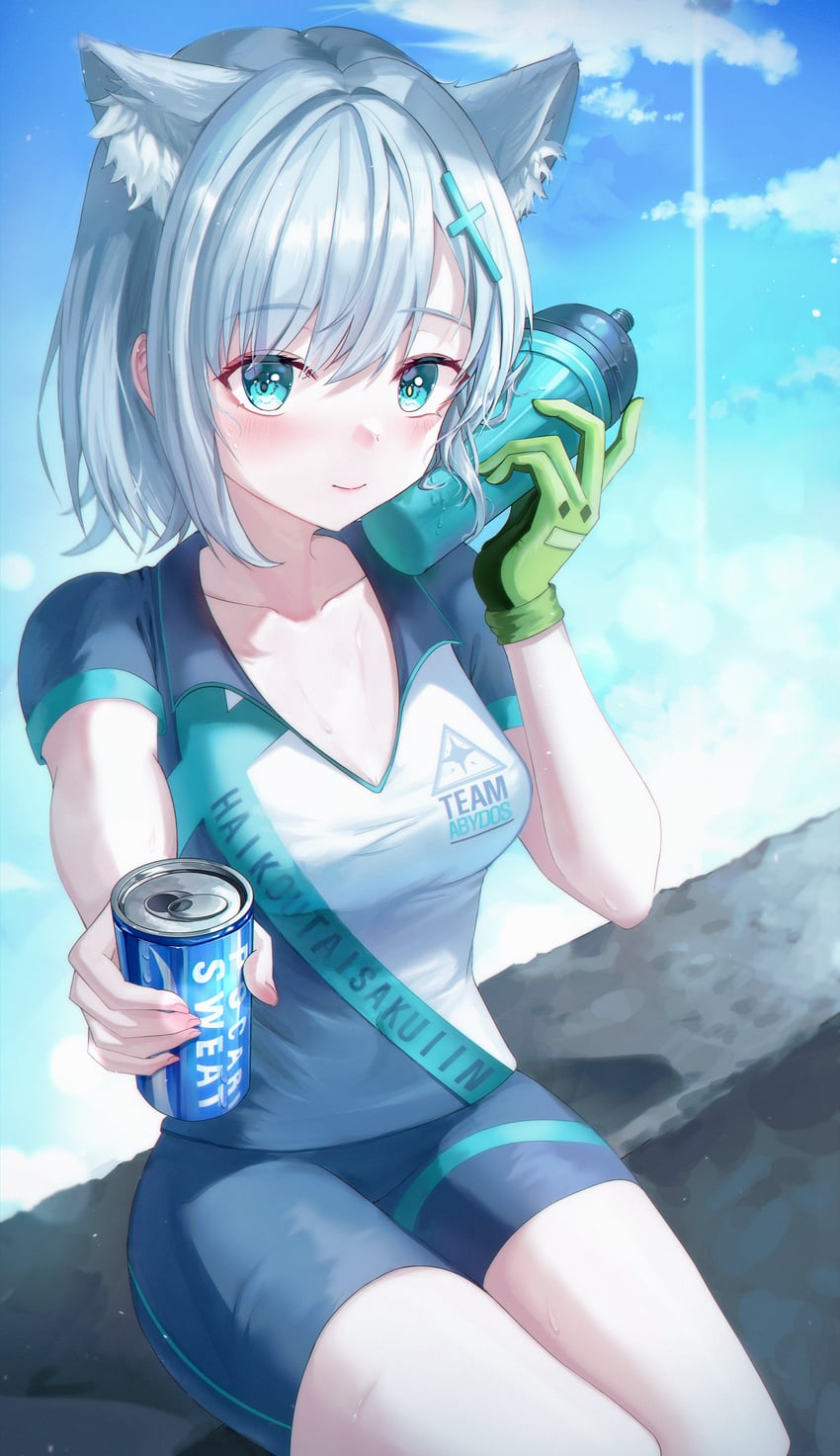 shiroko (blue archive) drawn by bini_(bini_owo)