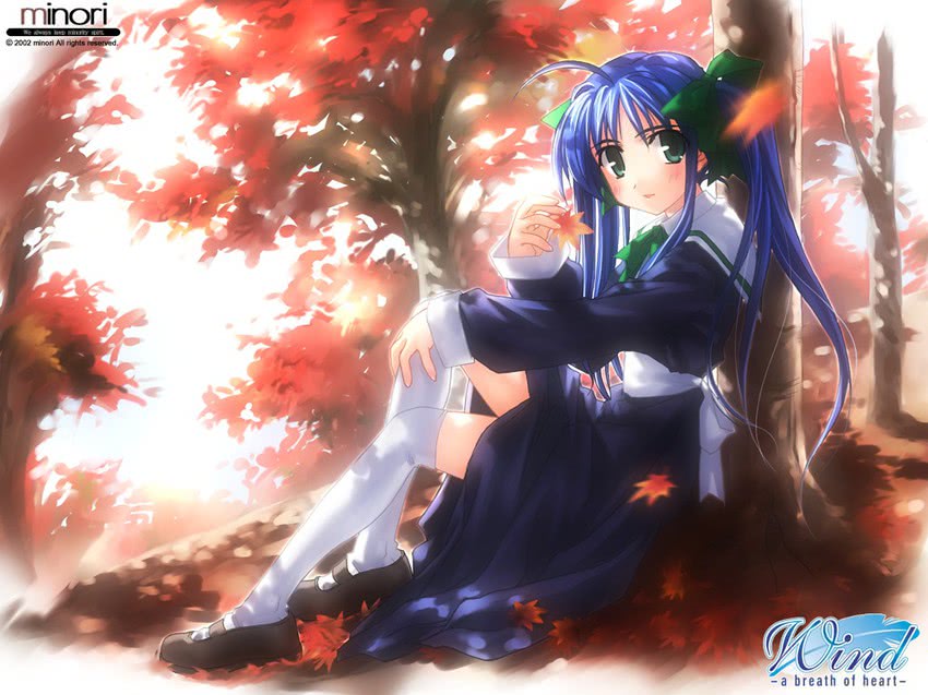 narukaze minamo (wind a breath of heart) drawn by yuuki_tatsuya