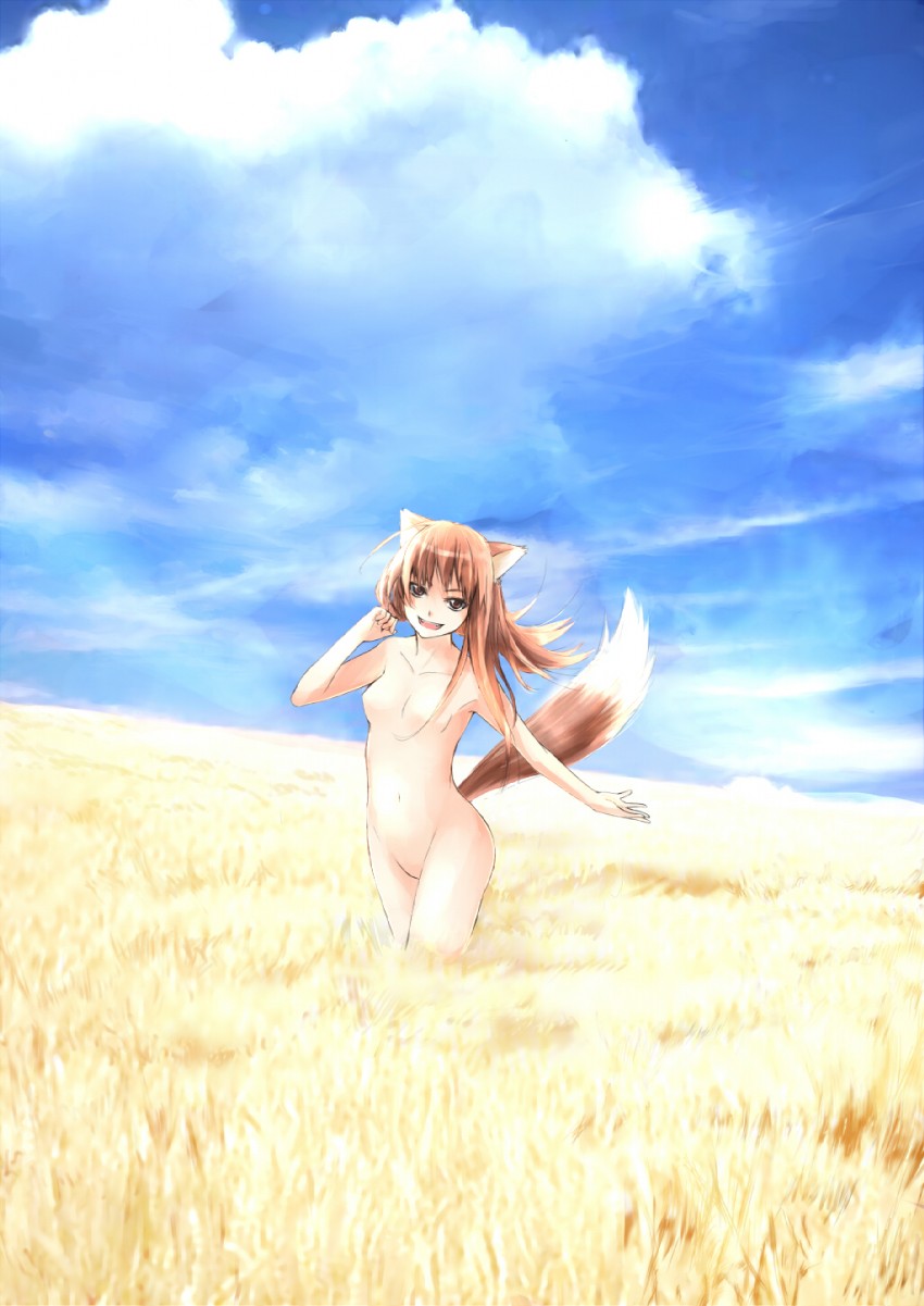 holo (spice and wolf) drawn by wander_(cordabyss)