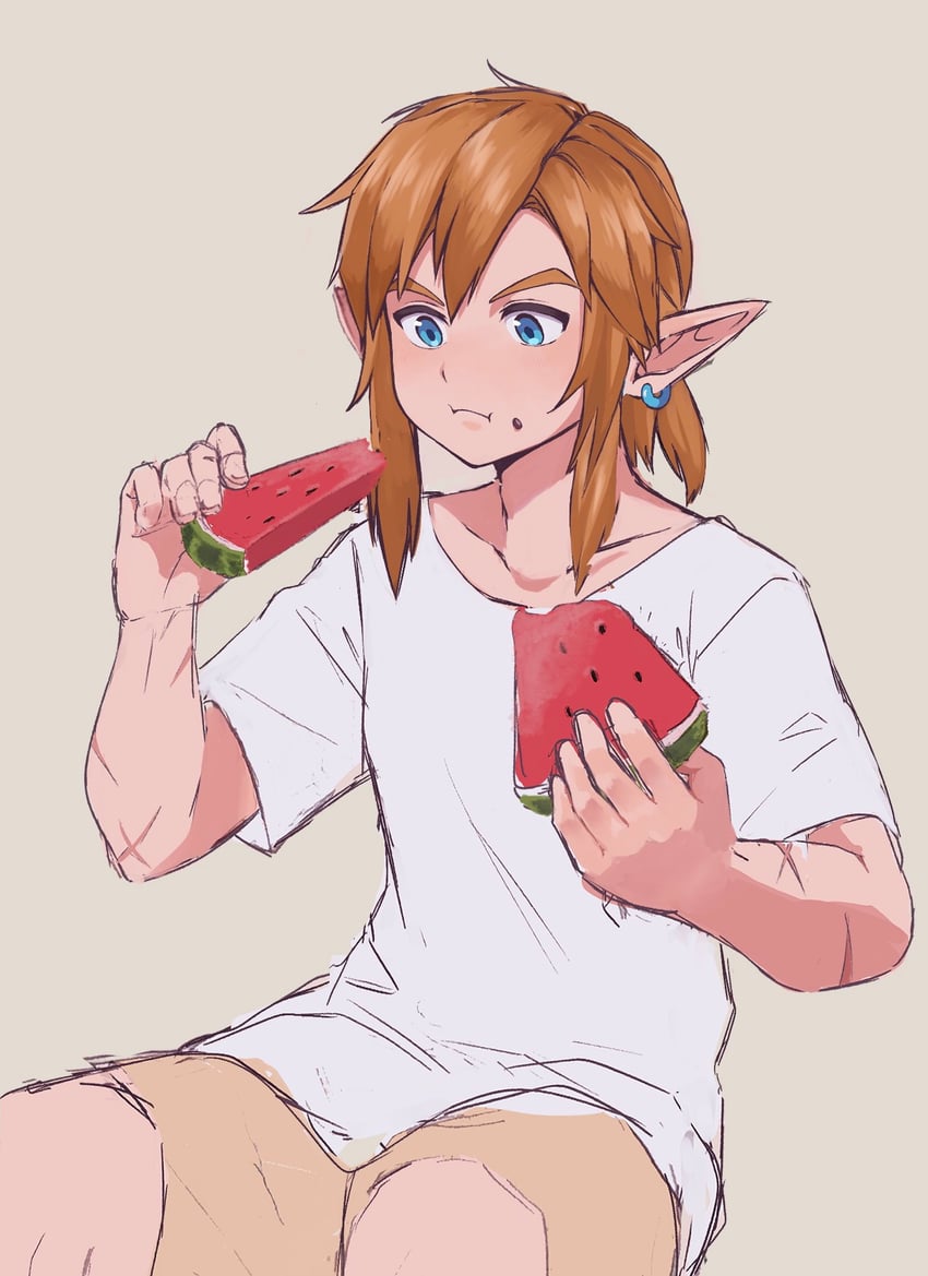 link (the legend of zelda and 1 more) drawn by suda3043