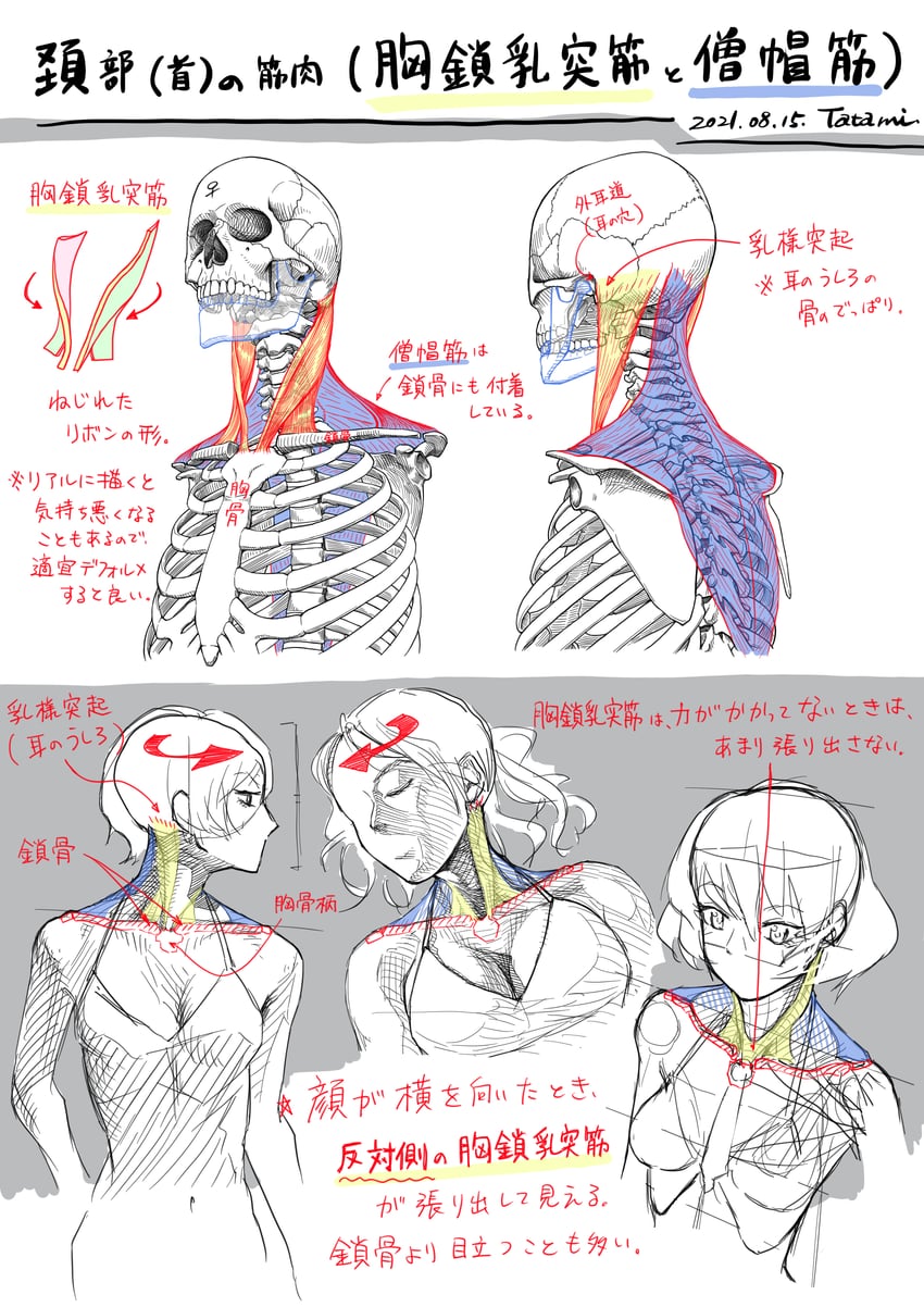 original drawn by tatami_(loop)