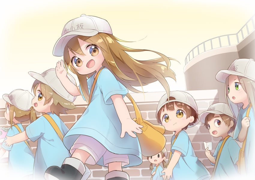platelet, platelet leader, backwards cap platelet, platelet vice-leader, and stare platelet (hataraku saibou) drawn by nipeira
