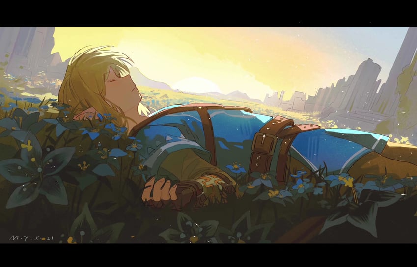 link (the legend of zelda and 1 more) drawn by sanyang003