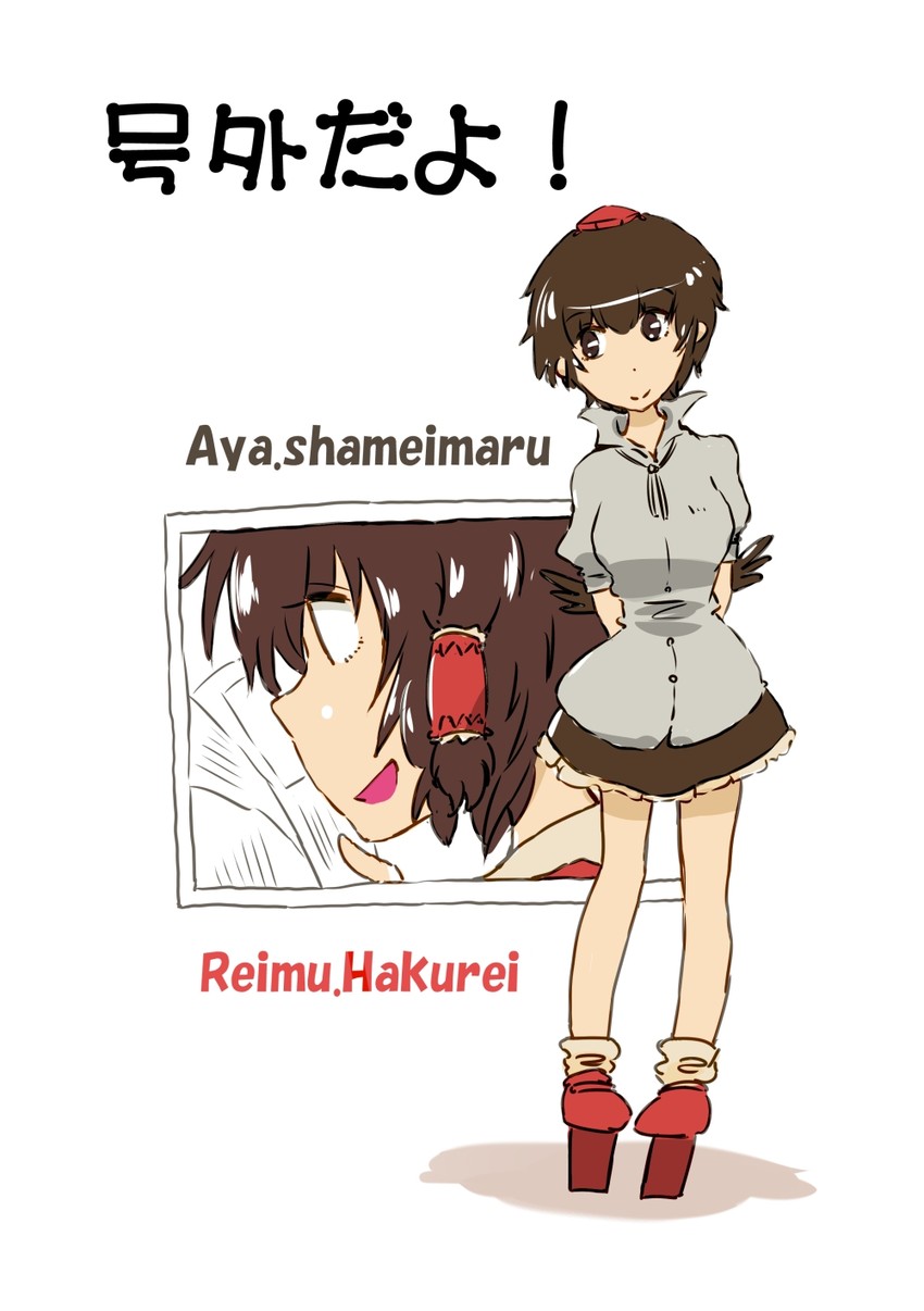 hakurei reimu and shameimaru aya (touhou) drawn by non_(z-art)