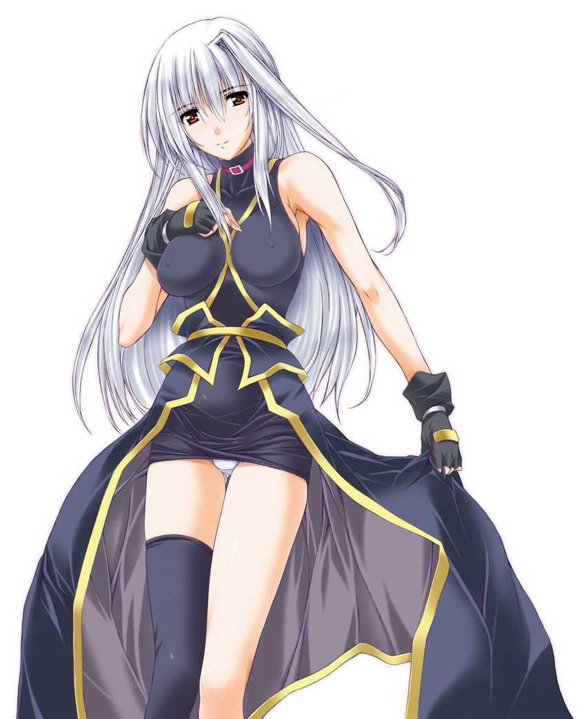 reinforce (lyrical nanoha and 2 more) drawn by yatsushima_tetsuya
