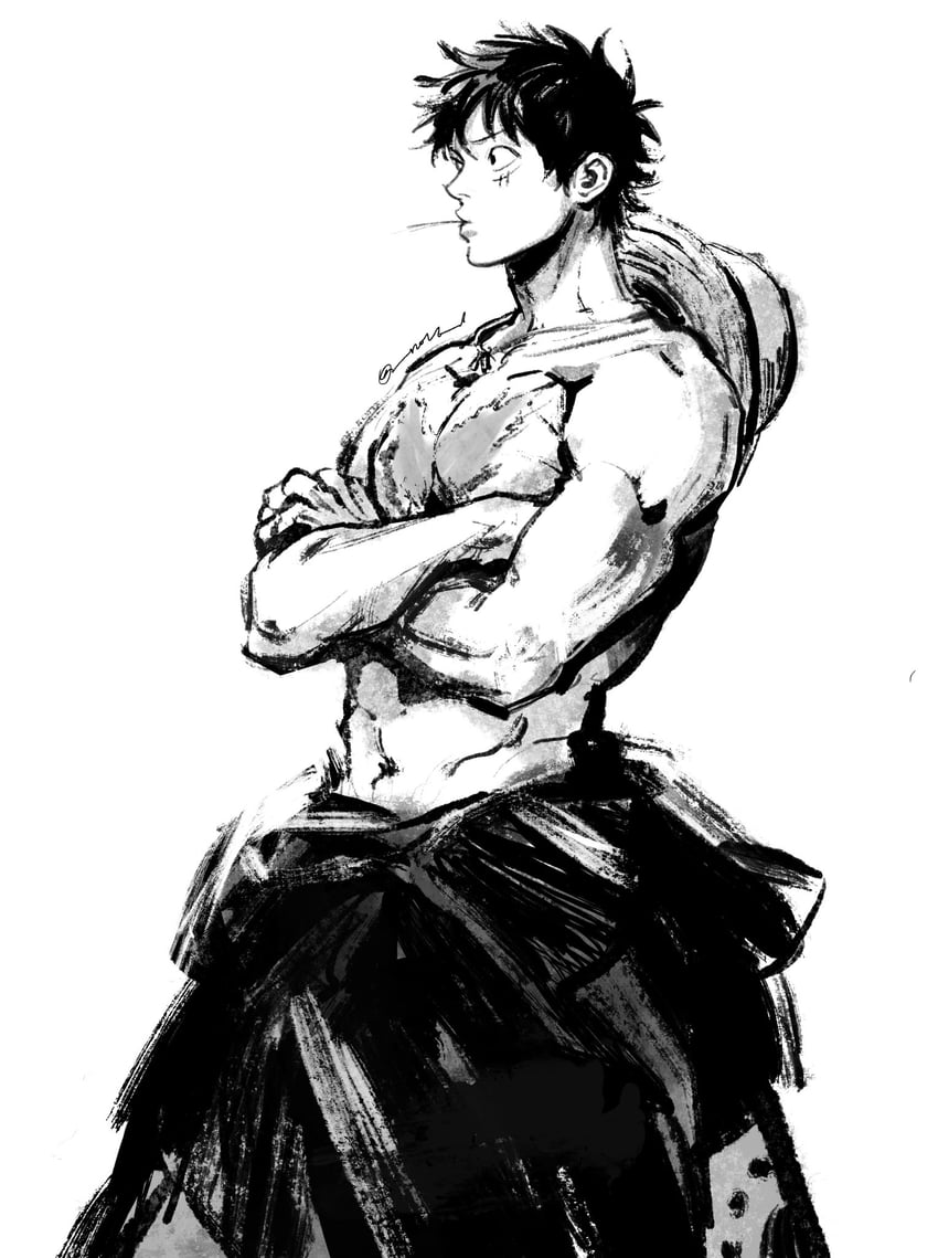 monkey d. luffy (one piece) drawn by nok_(nok_1)