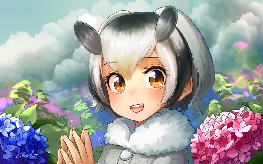 northern white-faced owl (kemono friends) drawn by welt_(kinsei_koutenkyoku)