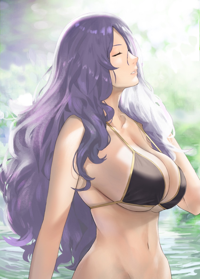 camilla (fire emblem and 1 more) drawn by j@ck