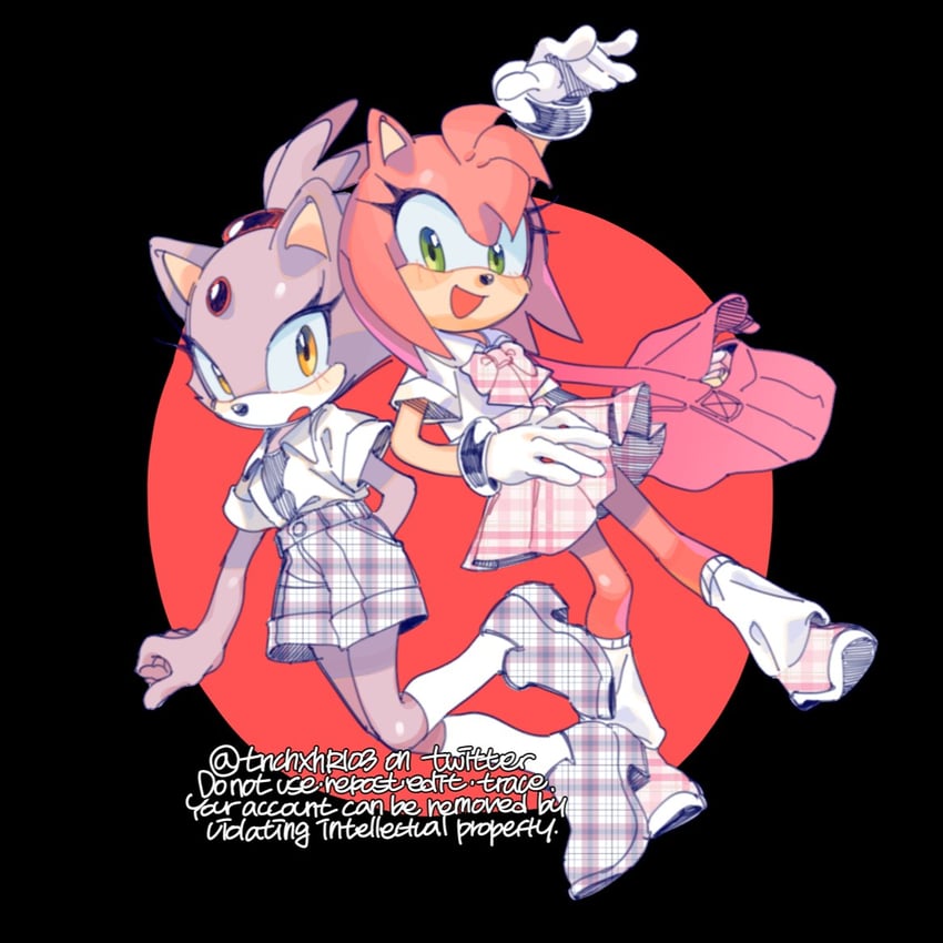 amy rose and blaze the cat (sonic) drawn by sucho