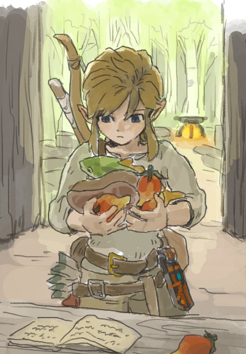 link (the legend of zelda and 2 more) drawn by soraoyogusakana