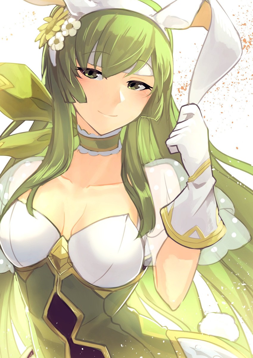 palla (fire emblem and 2 more) drawn by nakabayashi_zun