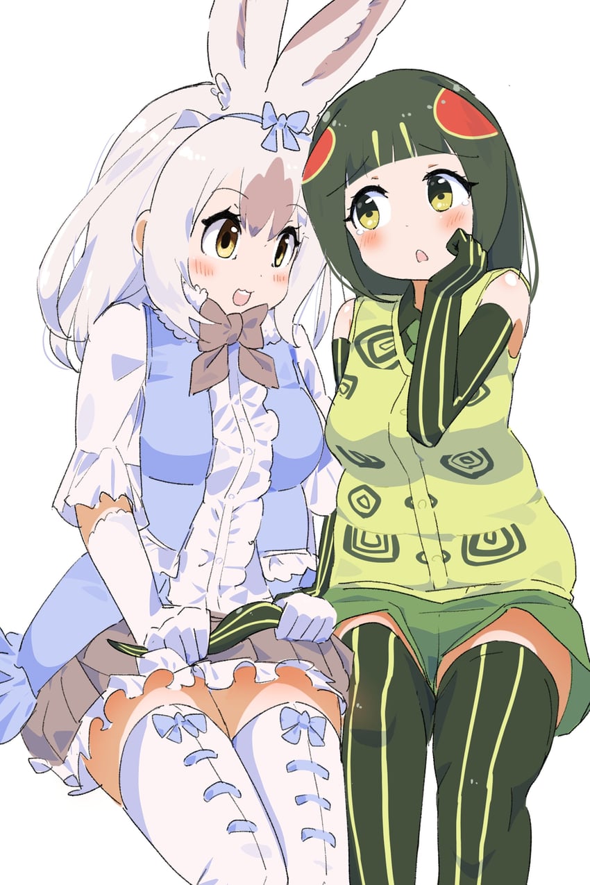 snowshoe hare and red-eared slider (kemono friends) drawn by iwa_(iwafish)