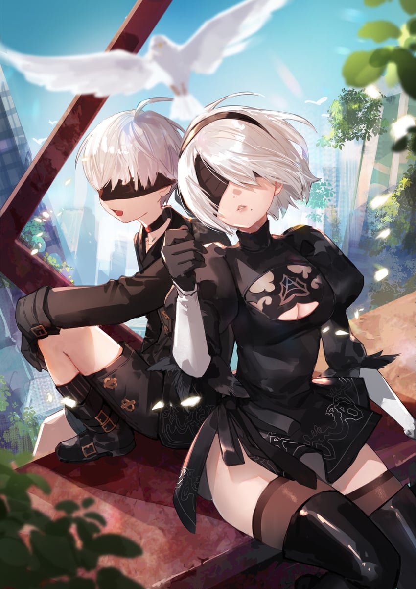 2b and 9s (nier and 1 more) drawn by nima_(niru54)