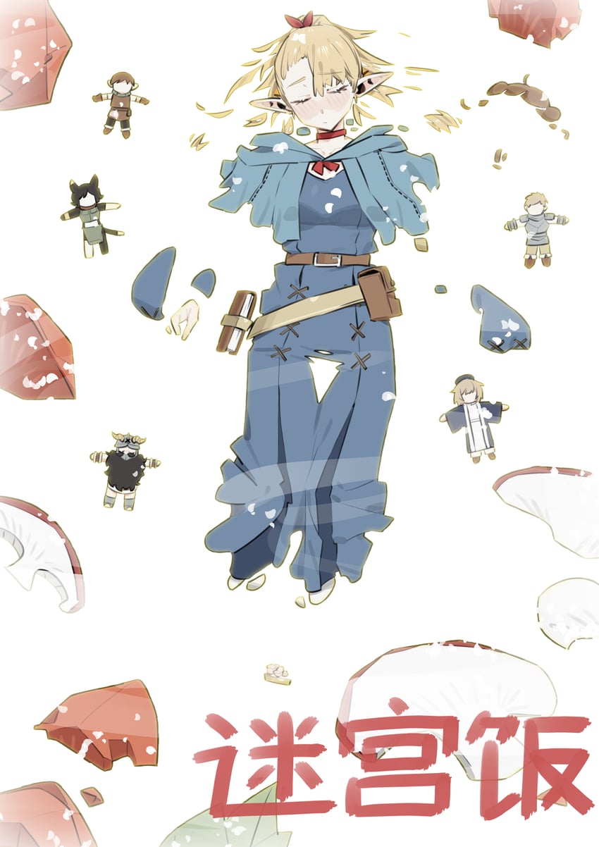 marcille donato, falin touden, laios touden, senshi, chilchuck tims, and 1 more (dungeon meshi) drawn by renxzd